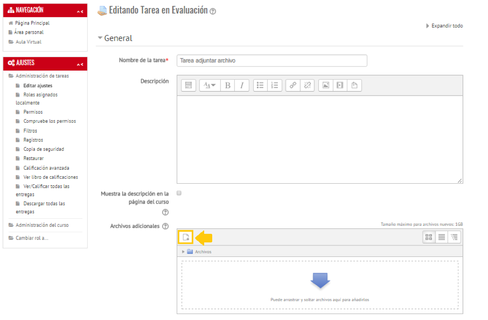 aula editor evaluacion