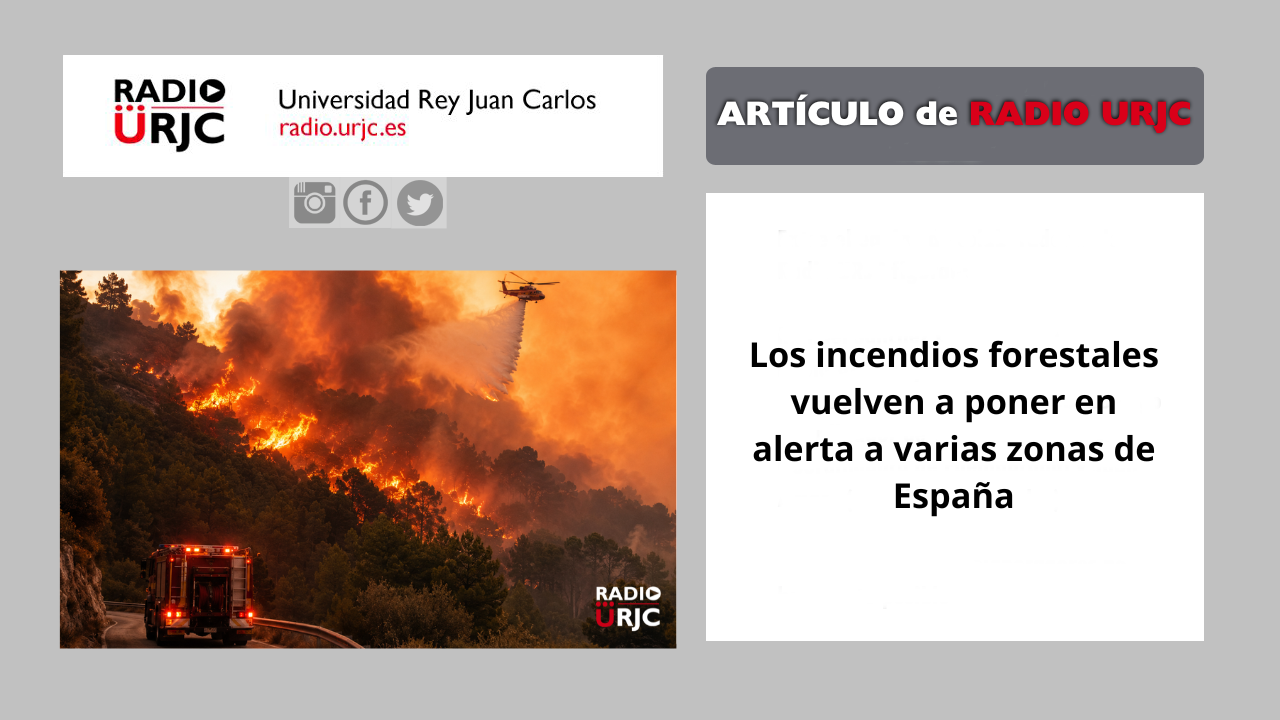 san isidro 2