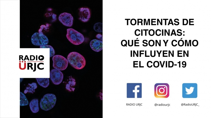 TORMENTAS DE CITOCINAS: QUÉ SON Y CÓMO INFLUYEN EN EL COVID-19