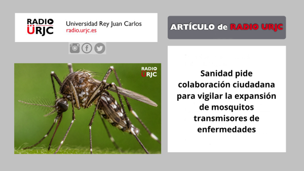 Sanidad pide colaboración ciudadana para vigilar la expansión de mosquitos transmisores de enfermedades